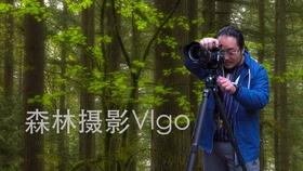 小猫钓鱼游戏龙王版有船