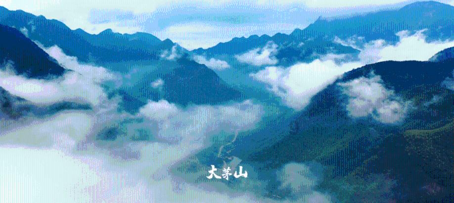 精灵的冒险之旅