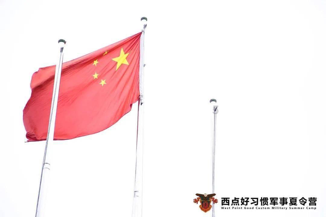 铁笼中的小鹿逃脱