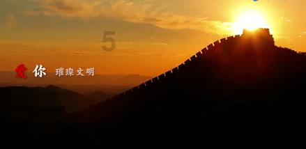 可爱的小孔雀救援
