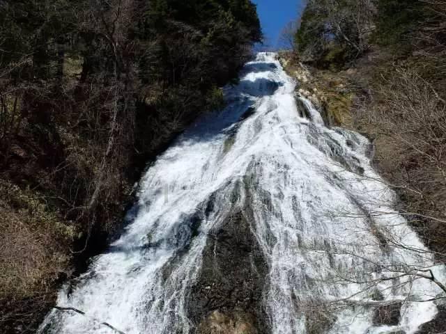 盐和避难所