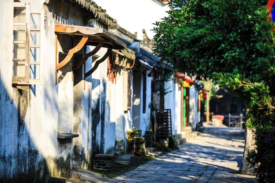 增绿1万亩、打造百条城市画廊……今年北京绿化这么干！