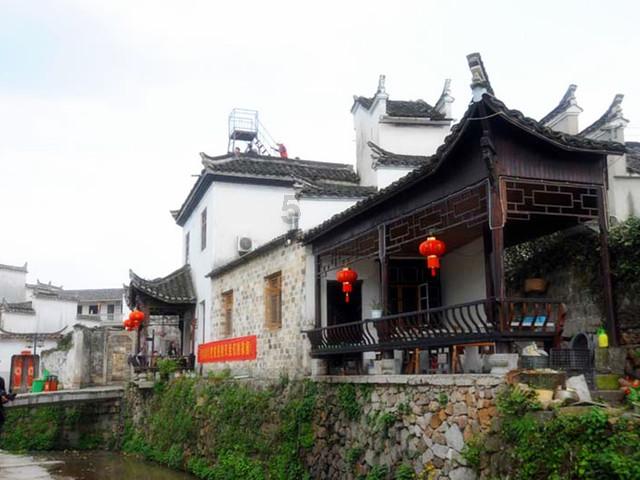 寻找奈良树花